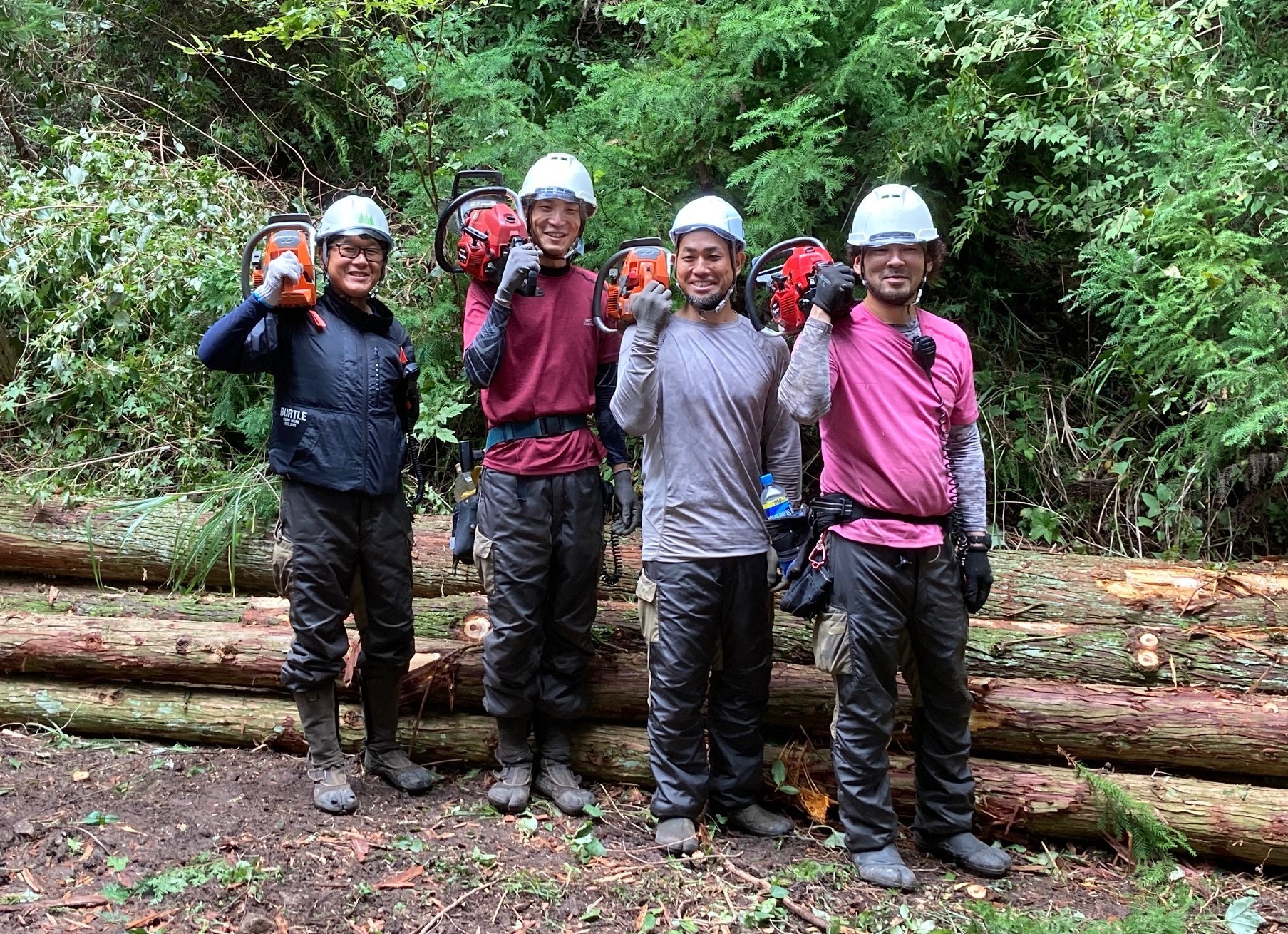 森林組合こうや 森林組合こうや