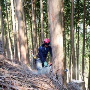 【農業×林業】和歌山県・有田川町で実現する半農半林の暮らし。あなただけの山村暮らしをデザインしてみませんか？