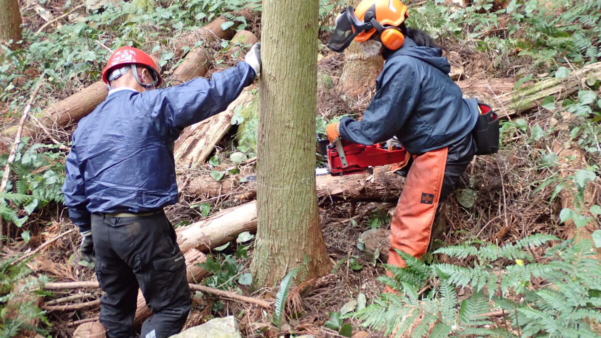 わかやま林業就業サポート講習　６日間コース【紀北】高野山
