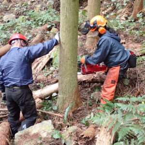 わかやま林業就業サポート講習　６日間コース【紀北】高野山