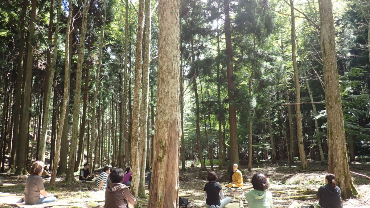 わかやま林業就業サポート講習　６日間コース【高野山】
