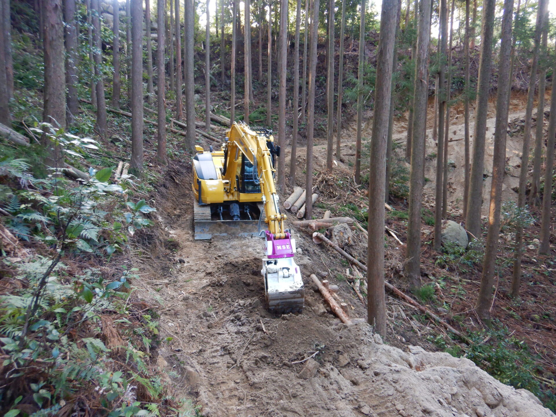 森林作業道開設