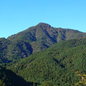 株式会社巴川コーポレーション　新宮山林事務所