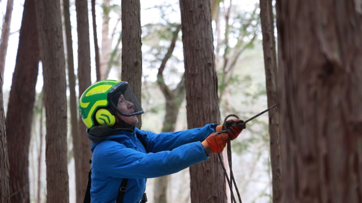 大阪から和歌山へ通勤。50歳でかなえた林業への転身